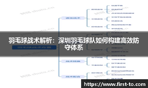 羽毛球战术解析：深圳羽毛球队如何构建高效防守体系