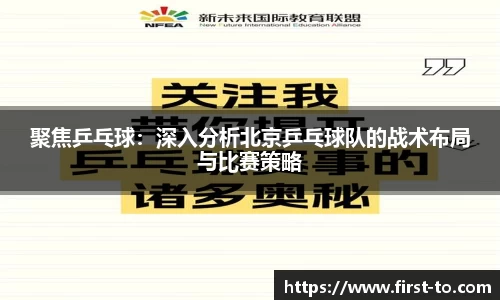 聚焦乒乓球：深入分析北京乒乓球队的战术布局与比赛策略