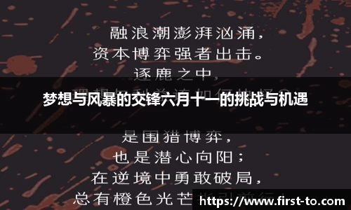 梦想与风暴的交锋六月十一的挑战与机遇
